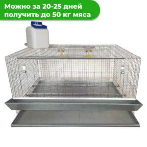 Клетка для кур Бройлер Фермерская на 5-7 голов